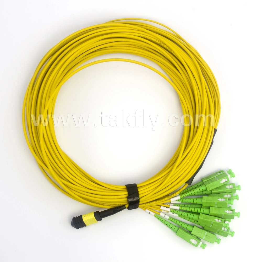 12c Multimode Om4 MPO to LC Uniboot Trunk Cable
