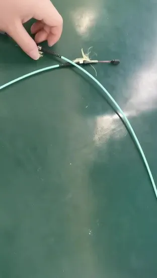 12 Fibers Sc/APC-AC/Upc Simplex Breakout Fiber Optic Patch Cord