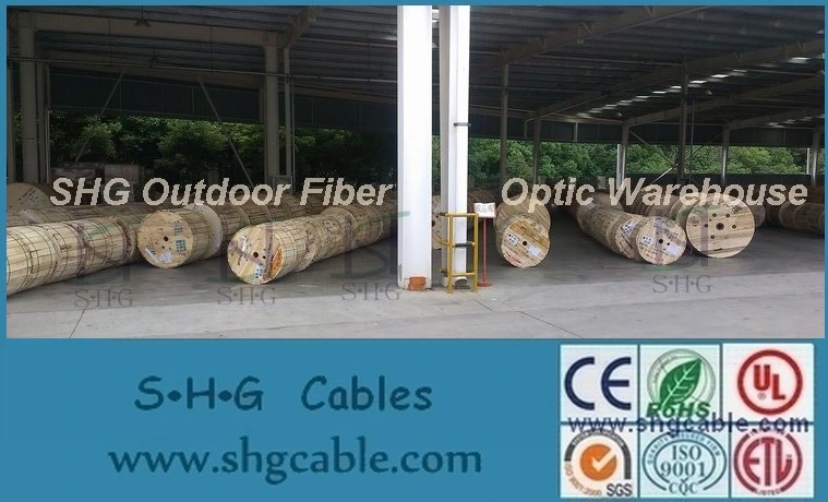 Hot Sale Factory Price Low Cost 1/2/4 Cores Fibers Butterfly Indoor Outdoor FTTH Drop Fiber Optic Cable