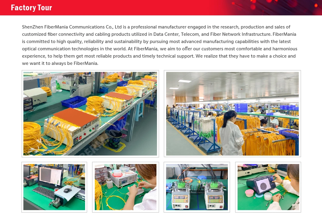 China Factory LC/SC/FC/ST/MTRJ/E2000 Single Mode Multimode Armored PVC LSZH Fiber Optic Patch Cord