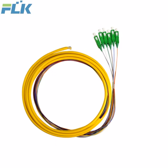Bundle Mutil-Cores Optical Fiber Fan-Out Patch Cord Sm/mm/Om3 Sc/LC/FC/St/MTRJ/E2000 Upc/APC