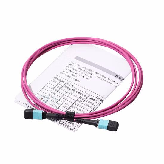 China Factory Fiber Optic Patch Cord LC/SC/FC/ST/MTRJ/E2000 Single Mode Multimode PVC LSZH Patch Cable with RoHS CE
